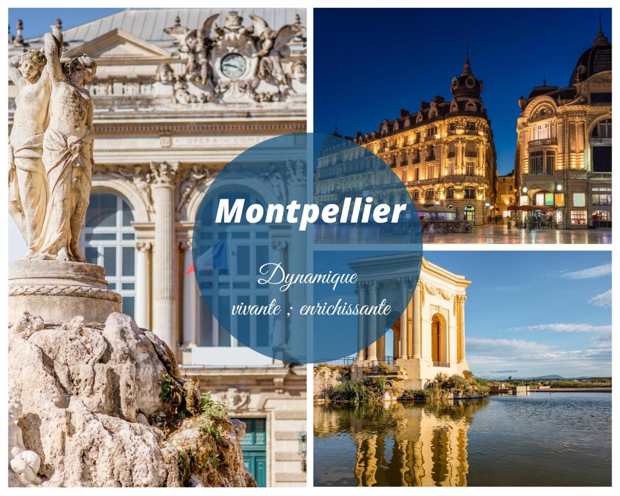 ラ・グランド・モットLe Marineland Clim Parking Prive Proche Centre Casino Et Palais Des Congresアパートメント エクステリア 写真